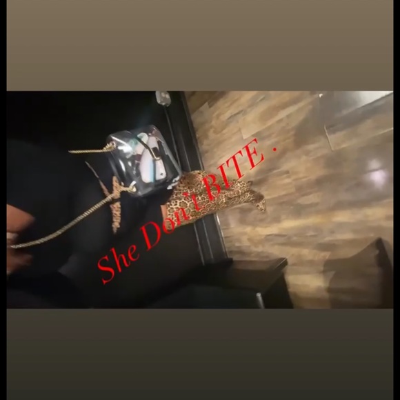 LEGEND! - Picture 4 of 9